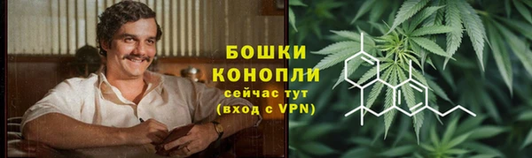 сатива Киренск