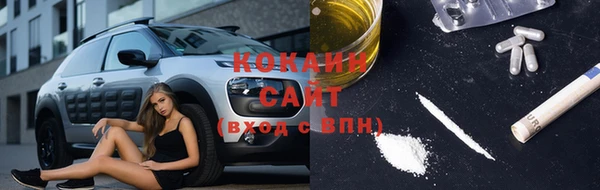 прущие грибы Киреевск