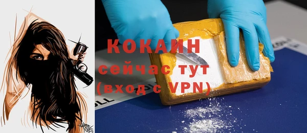 дживик Козельск