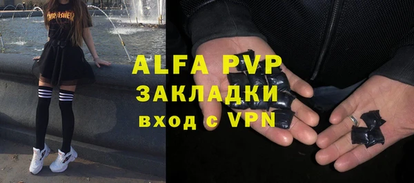 дживик Козельск
